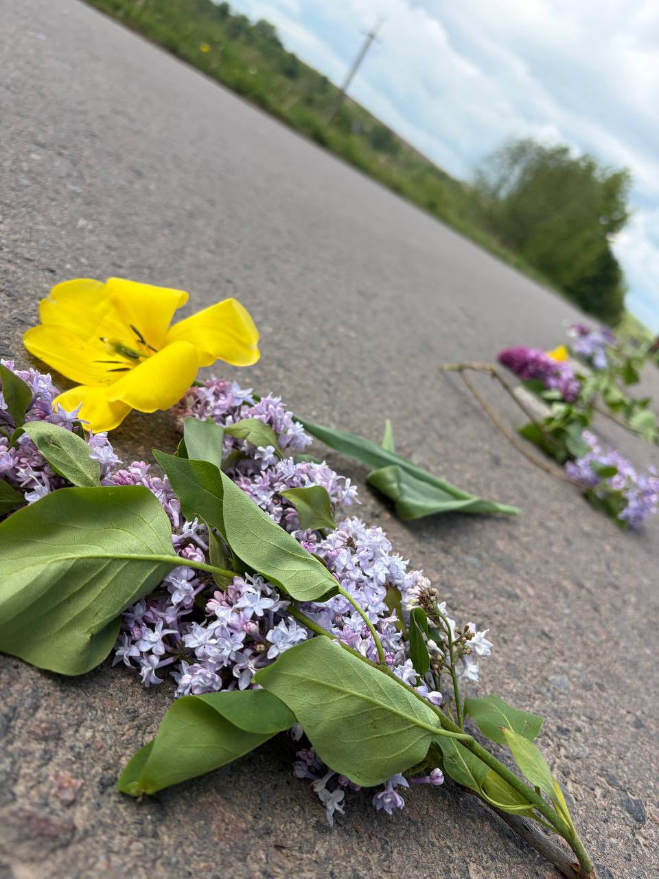 None